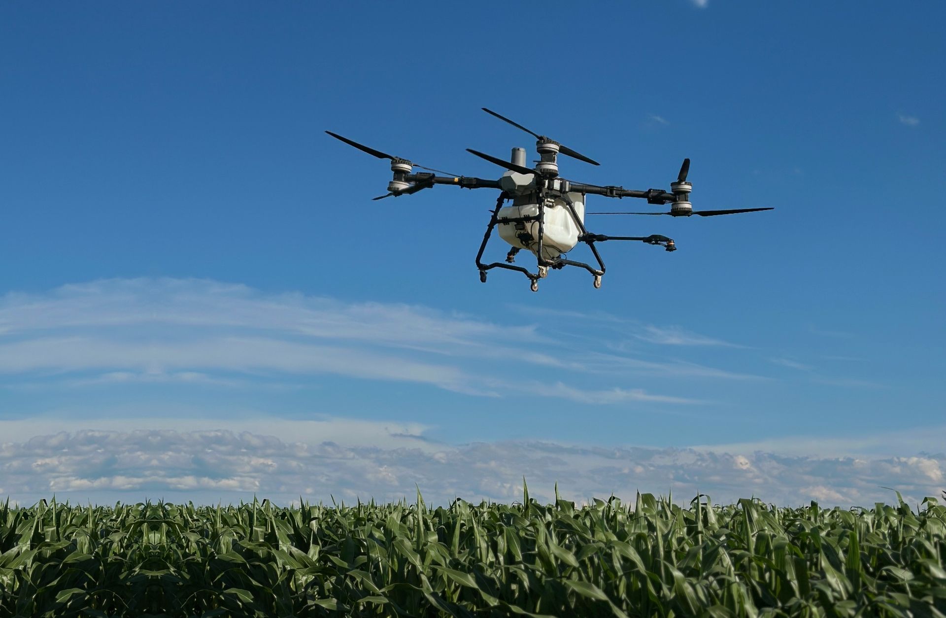 Агродрон DJI Agras T100 FREDDEN AERO над полем кукурудзи